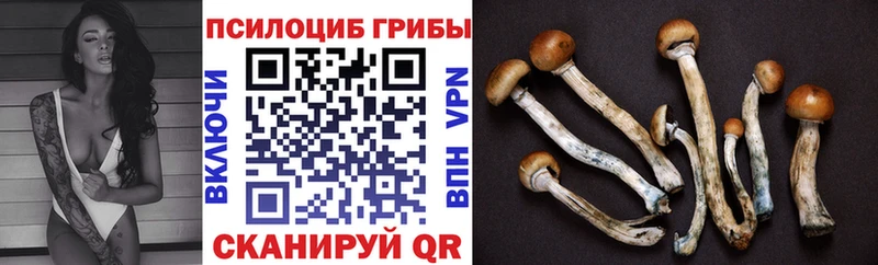 Галлюциногенные грибы мухоморы  KRAKEN как войти  Ливны  дарнет шоп 